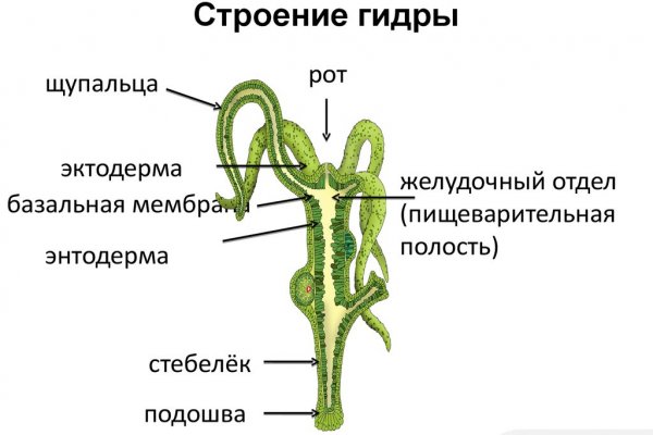 Как зайти через blacksprut