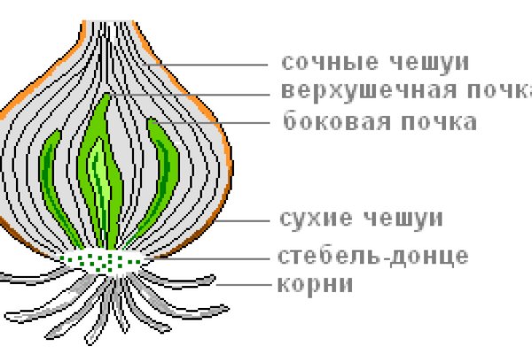 Как купить на blacksprut